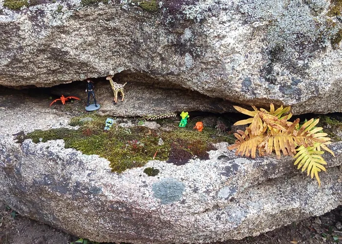 Villa Bergerie U Caseddu