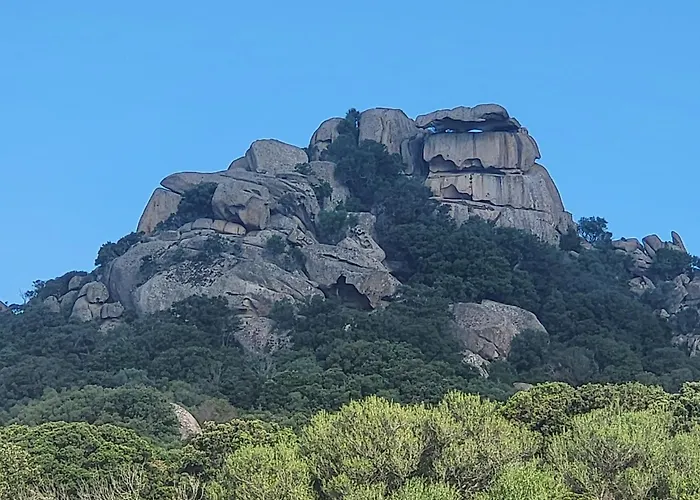 别墅 Bergerie U Caseddu 皮诺托里卡尔达雷洛