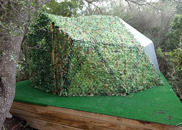 Bergerie U Caseddu 皮诺托里卡尔达雷洛